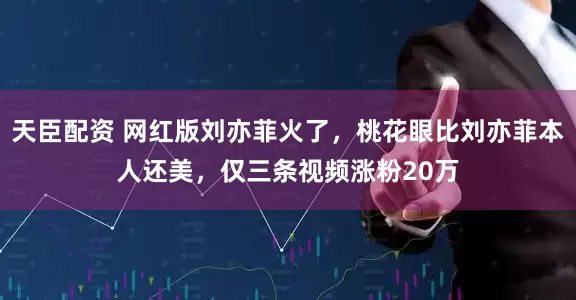 天臣配资 网红版刘亦菲火了，桃花眼比刘亦菲本人还美，仅三条视频涨粉20万