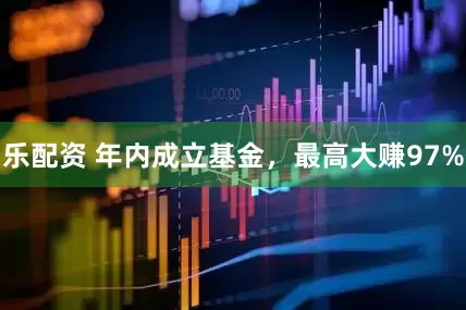 乐配资 年内成立基金，最高大赚97%