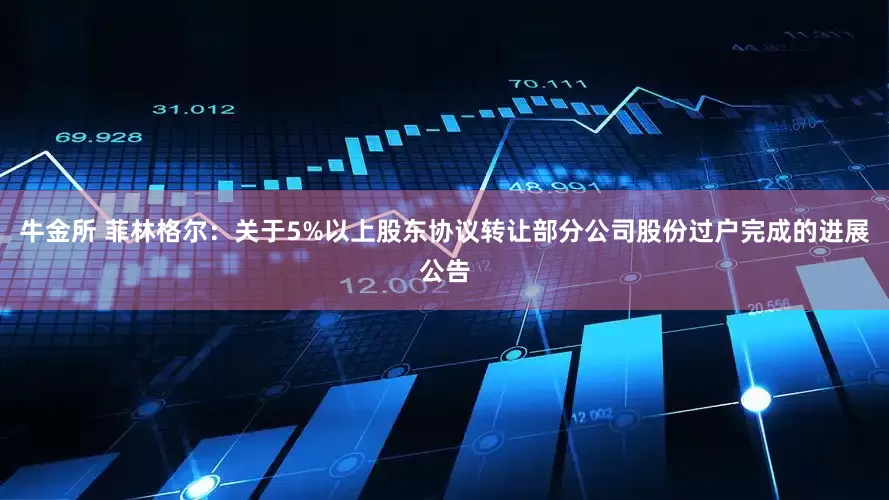牛金所 菲林格尔：关于5%以上股东协议转让部分公司股份过户完成的进展公告